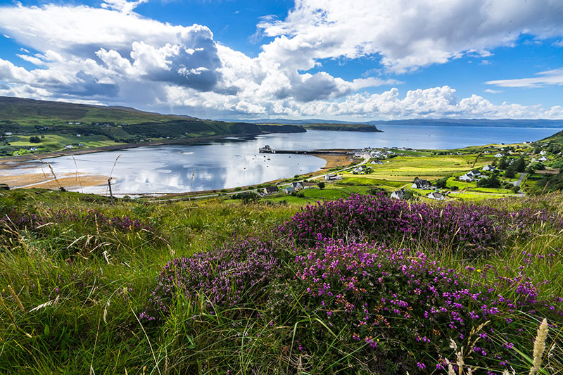 Scotland coastline viewed across heather landscape